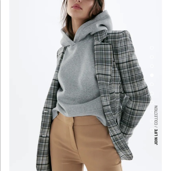 Zara Taupe Brown Pants - Picture 3 of 10